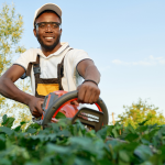 Professional Landscaping & Gardening Services